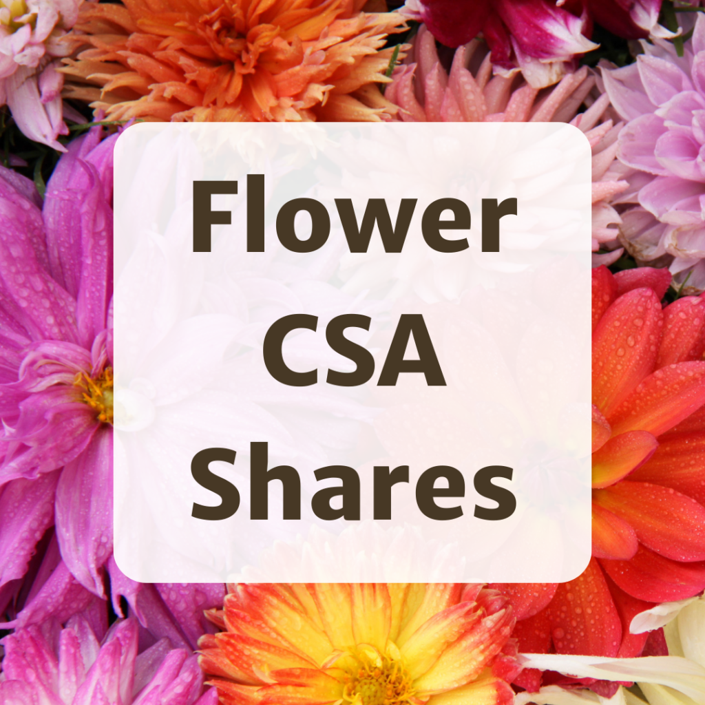 flower CSA shares